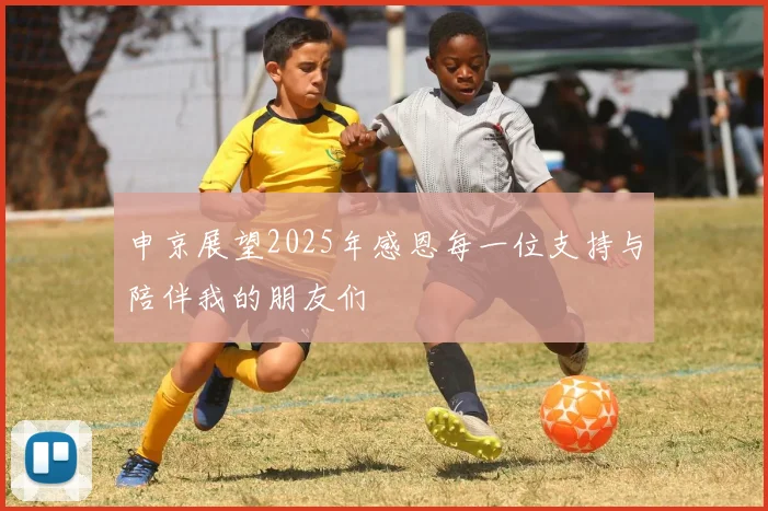 申京展望2025年感恩每一位支持与陪伴我的朋友们