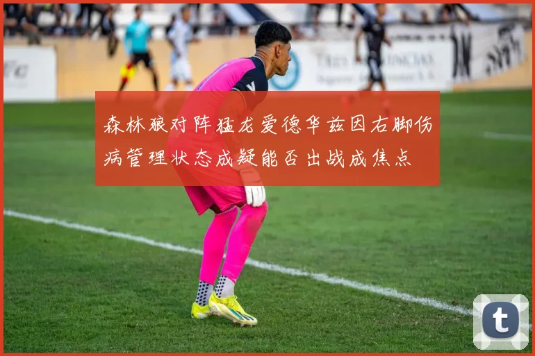 森林狼对阵猛龙爱德华兹因右脚伤病管理状态成疑能否出战成焦点