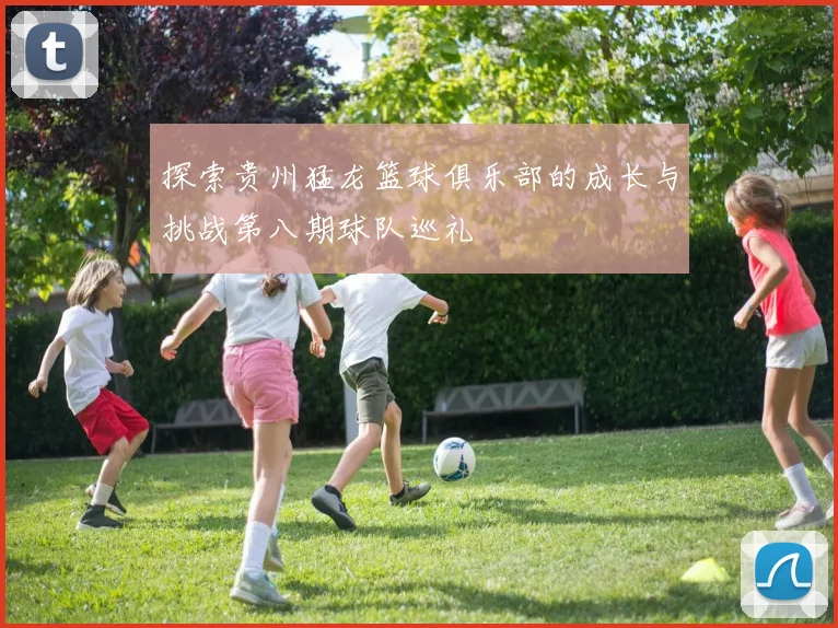 探索贵州猛龙篮球俱乐部的成长与挑战第八期球队巡礼